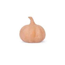 Small Terracotta Pumpkins Orange - Bullseye's Playground™ -Bullseye's Playground GUEST a41d5fb9 9be1 45e9 953b 6b8af1f4f99e
