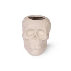 Terracotta Skull Vessels White - Bullseye's Playground™ 7 Terracotta Skull Vessels White - Bullseye's Playground™ -Bullseye's Playground GUEST bde8d30d 7af7 41db 8f76 6eb4deab79f1